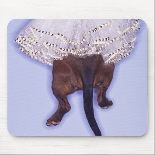 Dog dressed up mouse pad