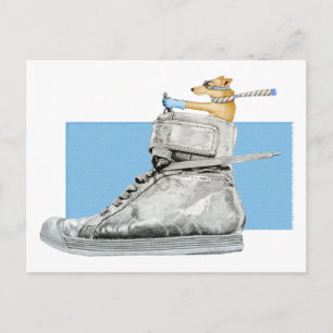 Dog Driving a Shoe 2 Postcard