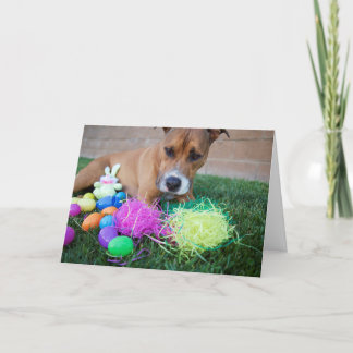 Dog Easter Card