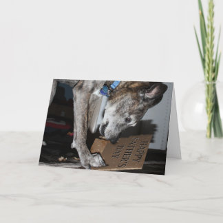 Dog Eating Father's Day Gift (The Dog Ate It) Card