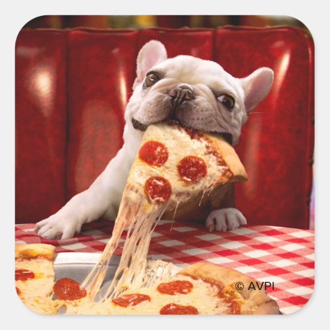 Dog Eating Pizza Slice Square Sticker (Front)