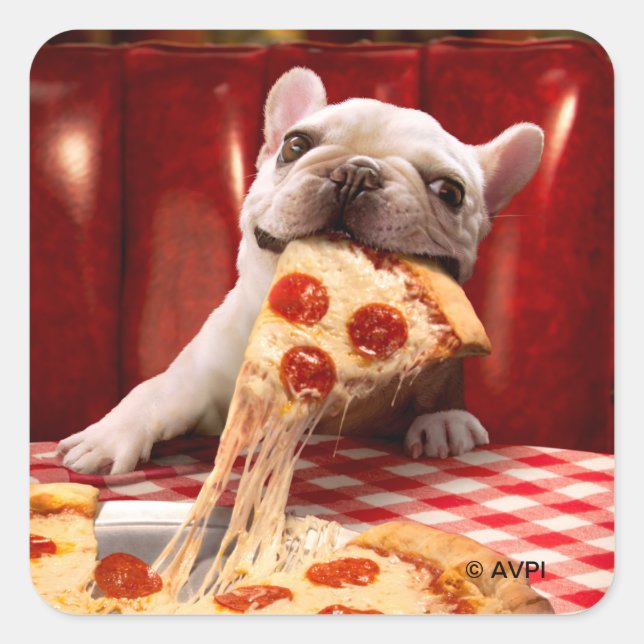 Dog Eating Pizza Slice Square Sticker (Front)