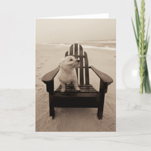 Dog Enjoying the Beach Card