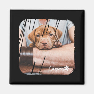 Dog Ever Pets Modern Nge Cool Photo Paw T Shirt Magnet