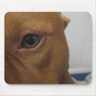 Dog eye mouse pad
