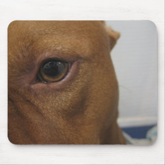 Dog eye mouse pad