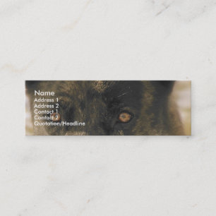 Dog Eyes Mini Business Card