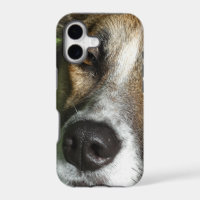 Dog Face Close Up iPhone SE + iPhone 5/5S, Barely