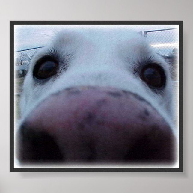 Dog Face Poster (Front)