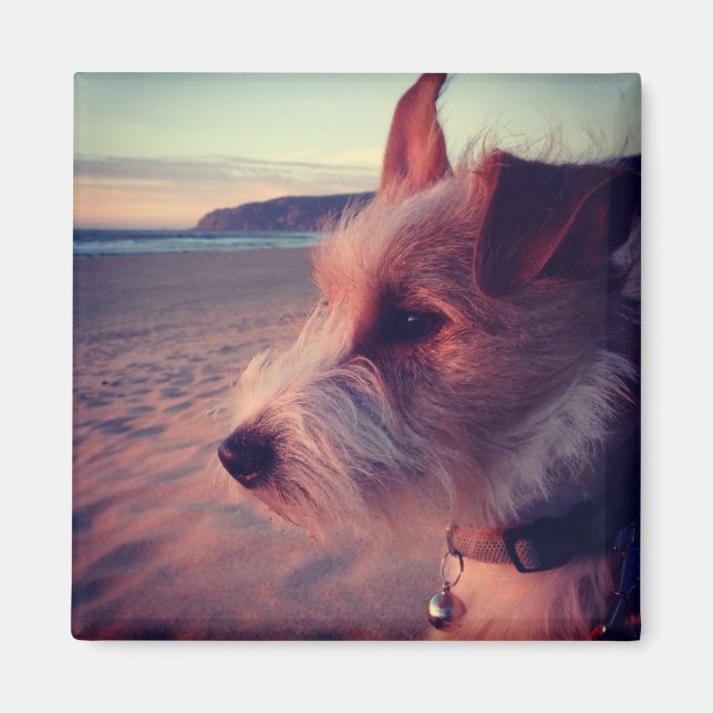 Dog Facing The Beach Magnet (Front)