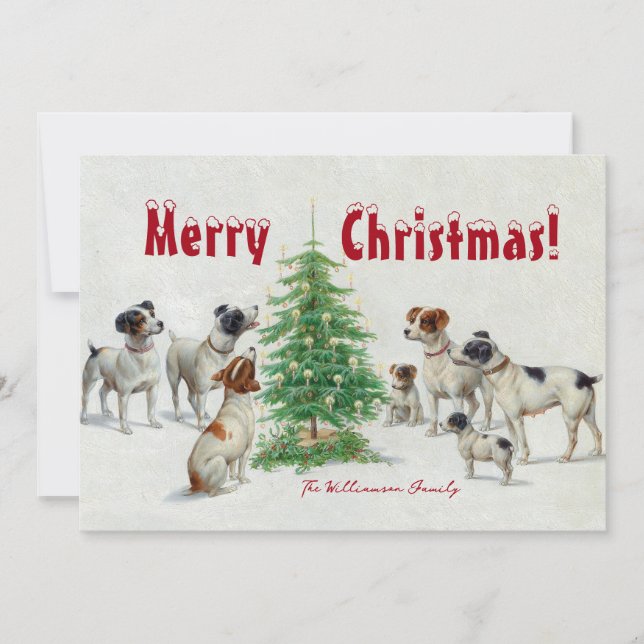 Dog Family Christmas Holiday Card (Front)