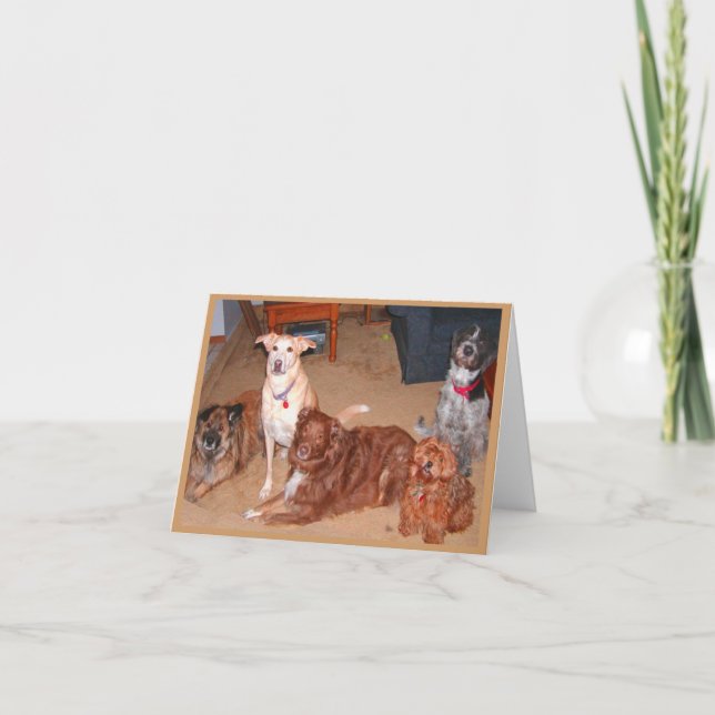 Dog Family greeting card (Front)
