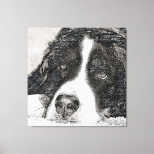 Dog, Female dog, Bernese mountain dog Canvas Print