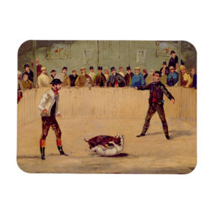 Dog Fighting (oil on paper) Magnet