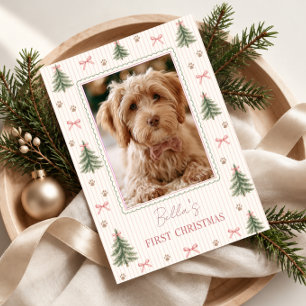 Dog First Christmas Photo Holiday Card