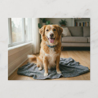 Dog Forever Home Announcement  Postcard