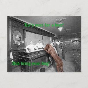 Dog Friendly Saloon Tavern Bar 1900 Photograph Postcard
