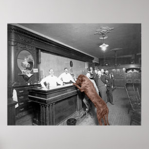 Dog Friendly Saloon Tavern Bar 1900 Photograph Poster