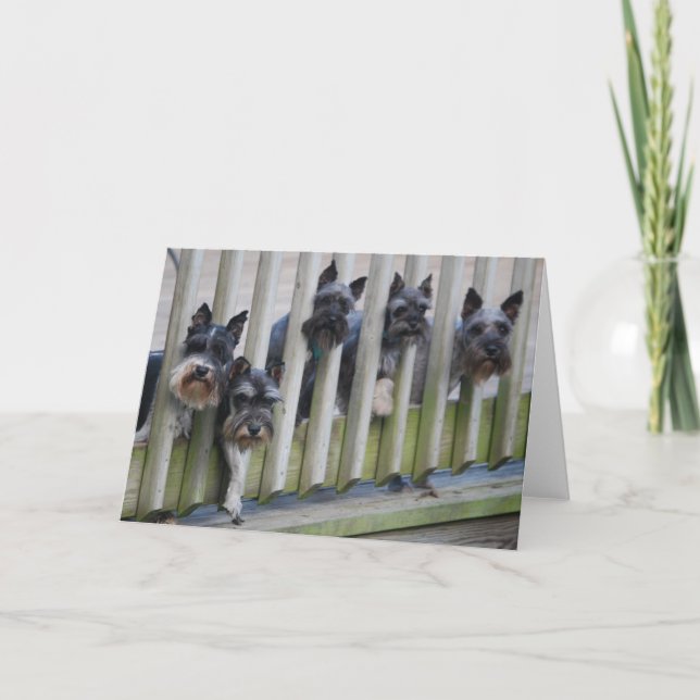 dog gang card (Front)