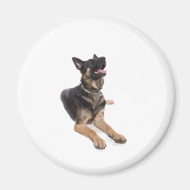dog - german shepherd magnet (Front)