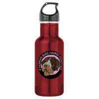 Dog german wirehaired pointer