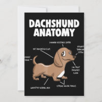Dog Gift | Anatomy Dachshund Funny Weiner