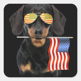 Dog Gift | Dachshund With Flag Usa Square Sticker