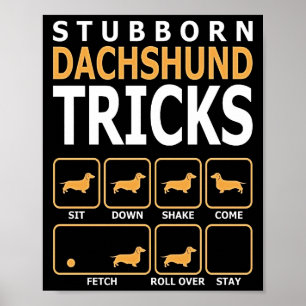 Dog Gift   Stubborn Dachshund Tricks Poster