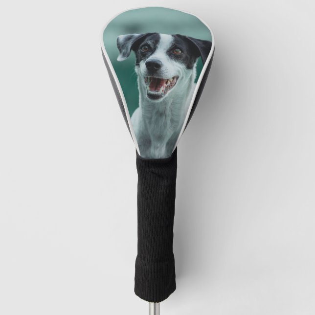 Dog  golf head cover (Front)