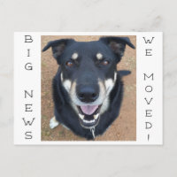 Dog gone HAPPY!