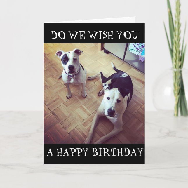 *DOG GONE RIGHT* WE WISH YOU A HAPPY BIRTHDAY! CARD (Front)