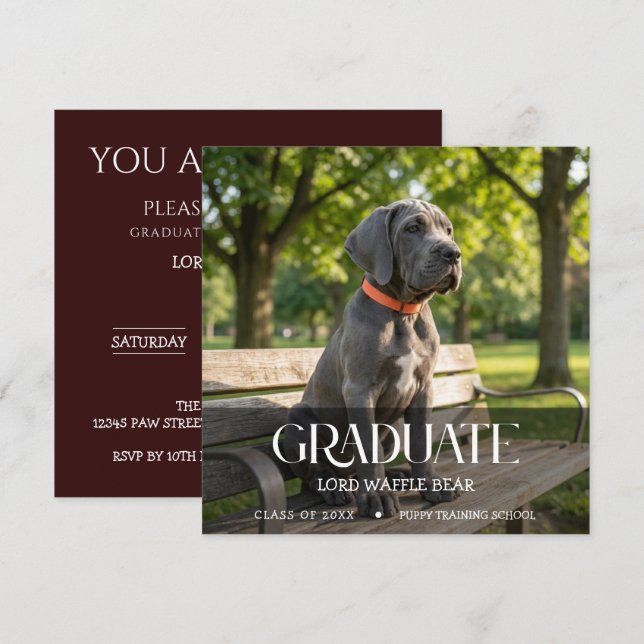 Dog Graduation Pet Photo Black Cherry Invitation (Front/Back)