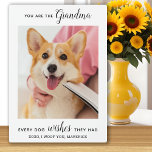 Dog Grandma Personalised Pet Photo  Plaque<br><div class="desc">Happy Birthday the the best dog grandma ever ! Give Grandma a cute and funny personalised pet photo plaque from her best grandchild, the dog! "You Are The Grandma Every Dog Wishes They Had " Personalise with your special message, the dog's name & favourite photo. This dog grandma plaque is...</div>