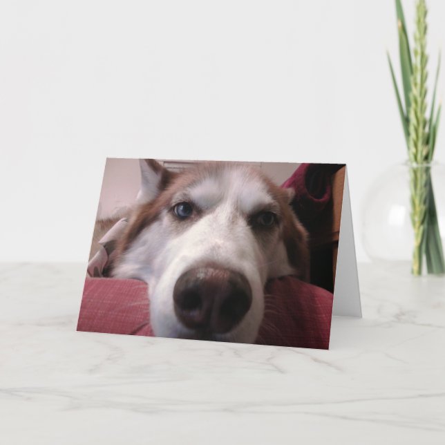 Dog Greeting Card (Front)