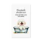 Dog Groomer Bichon Frise Appointment