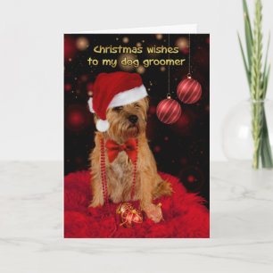 Dog Groomer Christmas Card, Border Terrier Holiday Card