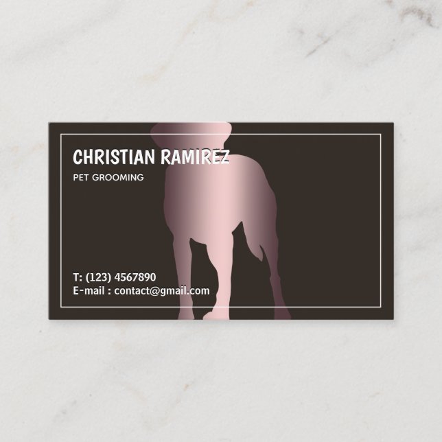 Dog Groomer Pet Care Bilingual Business Card (Front)