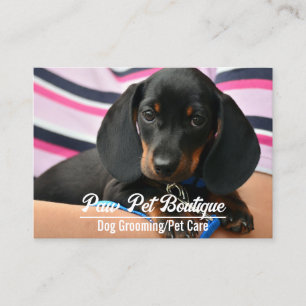 Dog Groomer Pet Care Puppy Walker Business Card