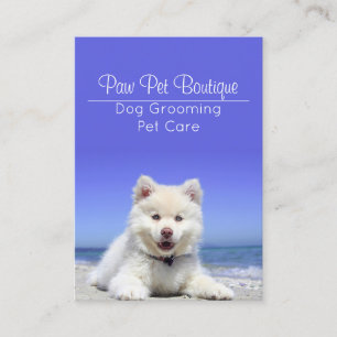 Dog Groomer Pet Care Puppy Walker Business Card