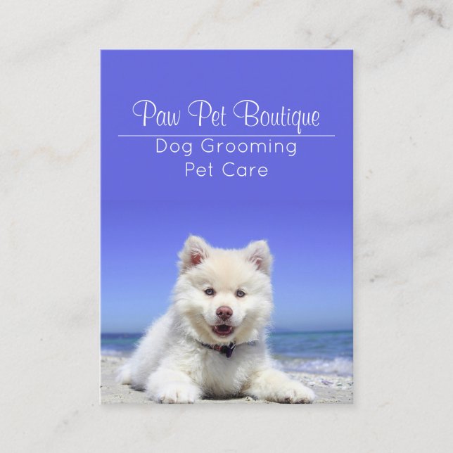 Dog Groomer Pet Care Puppy Walker Business Card (Front)