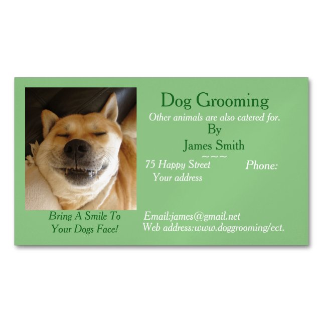 dog Grooming and pet care services appointment Magnetic Business Card (Front)