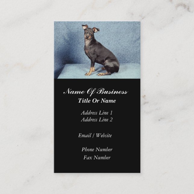Dog Grooming Business Card (Front)
