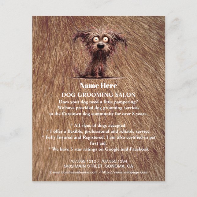 Dog grooming business personalised flyer (Front)