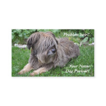 Dog grooming hairy sheepdog