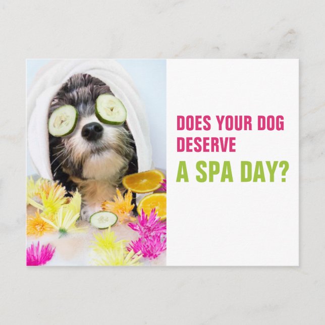 Dog Grooming Postcard-Spa Postcard (Front)