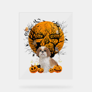 Dog Halloween Acrylic Sign