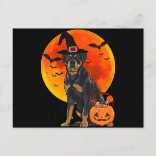 dog halloween rottweiler jack o lantern pumpkin postcard