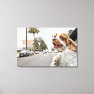 Dog hanging head out of car window canvas print
