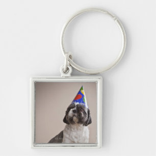 Dog having birthday key ring
