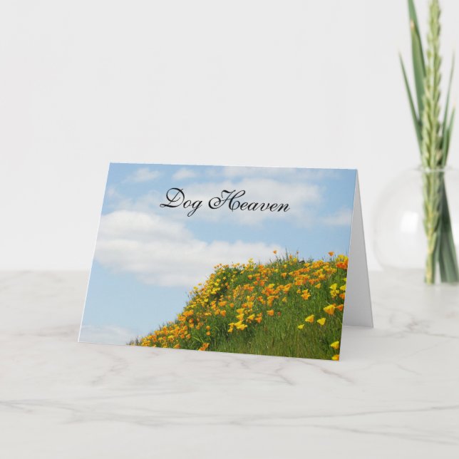 Dog Heaven Sympathy Cards Sorry for your Loss! (Front)